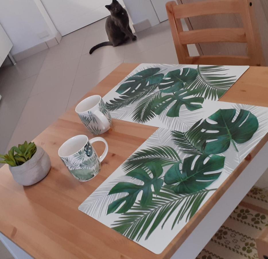 Apartament Casa Tavio 6 Casa Tavio 7 Costa Del Silencio Zewnętrze zdjęcie